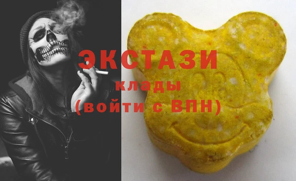 стафф Новозыбков