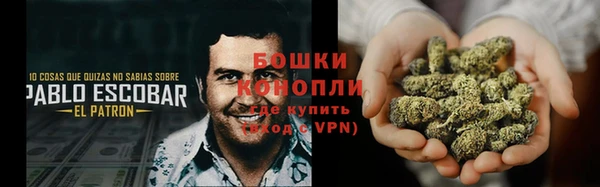 стафф Новозыбков