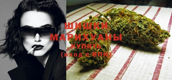 стафф Новозыбков
