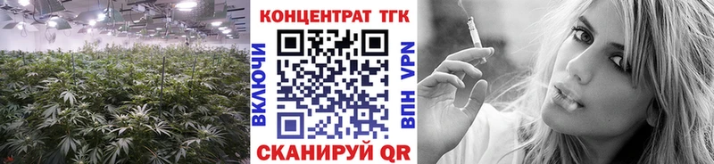 ТГК гашишное масло  kraken ССЫЛКА  Новотроицк  наркота 